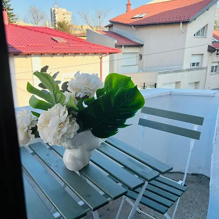 Apartment Cozy Near Center *